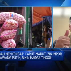 Carut Marut Izin Impor Bawang Putih Bikin Harga Meroket, Solusinya?