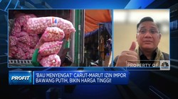 Carut Marut Izin Impor Bawang Putih Bikin Harga Meroket, Solusinya?