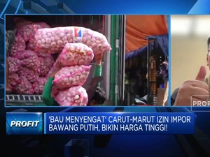 Carut Marut Izin Impor Bawang Putih Bikin Harga Meroket, Solusinya?