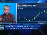 Video: Ekspansi ANJT, Genjot Produksi Sawit Hingga Perluas Bisnis EBT