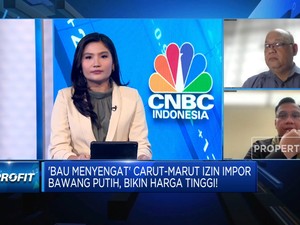 Harga Bawang Putih Naik Tak Wajar, Ombudsman Ungkap Penyelewengan