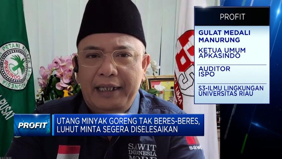 Ketua Umum APKASINDO, Gulat Medali Manurung dalam program Profit. (CNBC Indonesia TV)
