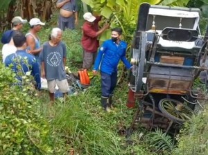 Apes Kuda Baru Latihan Narik Andong Terperosok Parit di Banguntapan Bantul