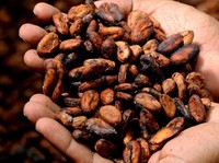 Petani Brasil Berambisi Jadi 
