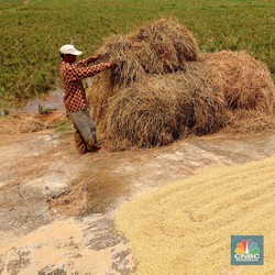 Bulog Diminta Gerak Cepat Timbun Stok, Ternyata Ini Penyebabnya