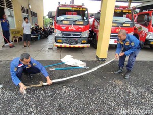 Ular Sanca 3 Meter Pemangsa Ayam Ditangkap di Rumah Warga Ciamis