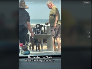 Kontroversi Anjing Minum dan Jilat Keran Air Publik, Menjijikkan atau Tidak?