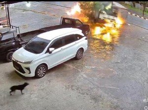 Detik-detik Horor Pemotor Tewas Ditabrak Truk Tronton di Balikpapan