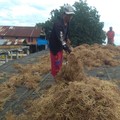 UMKM Binaan BRI Ini Dorong Ekonomi Nelayan Pesisir Sulawesi Selatan