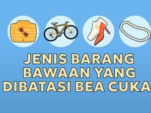 Banyak Kasus sampai Disorot Presiden, Apa Tugas Bea Cukai Sebenarnya?