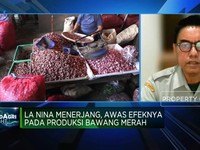 Video: Produksi Bawang Merah Terancam La Nina, Kementan Lakukan Apa?