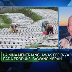 Video: Genjot Produksi Bawang Putih RI, Ini Saran Mantan Mentan SBY