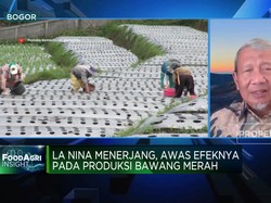 Video: Genjot Produksi Bawang Putih RI, Ini Saran Mantan Mentan SBY
