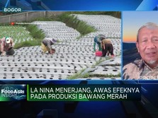 Video: Genjot Produksi Bawang Putih RI, Ini Saran Mantan Mentan SBY