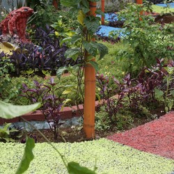 Beton Porous WTON Percantik Taman Cakung Timur