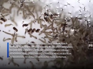 Video : Meningkatnya Kasus Demam Berdarah di Amerika