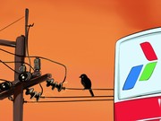 Sederet Tantangan Menuju Swasembada Energi Indonesia