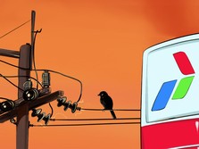 Sederet Tantangan Menuju Swasembada Energi Indonesia