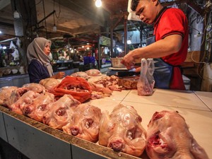 Harga Sembako Jogja Hari Ini 19 September 2024: Daging Ayam Ras Turun Tipis