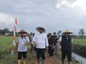 Babel Dapat 5.869 Ton Pupuk Subsisdi dari Mentan untuk Pertanian