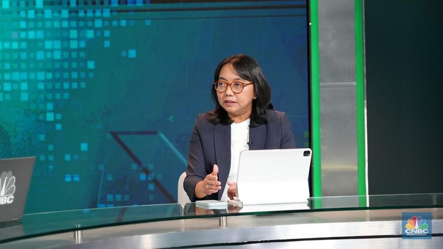 Direktur Finance PT Bank Negara Indonesia (Persero) TBK, Novita Widya Anggraini dalam program Money Talks pada Selasa (2/4/2024). (CNBC Indonesia/Tias Budiarto)