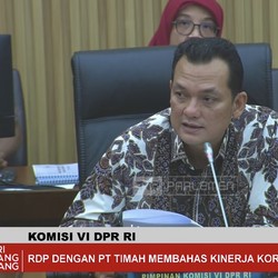 DPR Sebut Ada Banyak 'Monster' di Balik Kasus Korupsi Timah, Siapa?