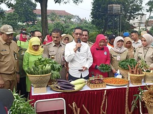 Heru Budi Hadiri Panen Raya 822 Ton Sayur-Buah di Jaktim