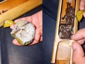 Penjual Ini Kaget Temukan Lemang Buatannya Penuh dengan Paku Berkarat