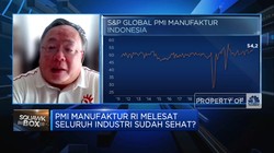 Di Balik Melesatnya PMI Manufaktur, Pemerintah Harus Waspadai Hal Ini