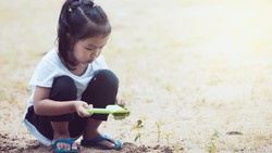 BRIN: 1 dari 7 Anak di RI Terpapar Timbal Kadar Tinggi, Terbanyak di Wilayah Ini