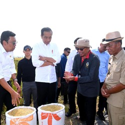 Ada Perintah Baru Jokowi, Bulog Kantongi Subsidi Bunga Pinjaman 3-4,5%