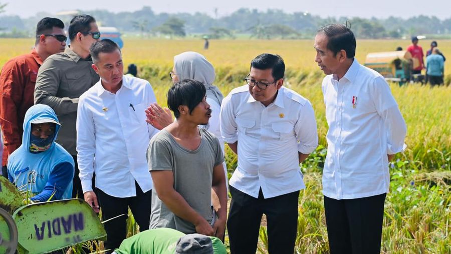 Presiden Jokowi didampingi Kepala Bapanas Arief Prasetyo Adi meninjau panen padi di Jawa Barat pada Oktober 2023. (Dok: Bapanas)