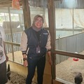 Program BRI Bikin Peternakan Ayam Ini Berkembang
