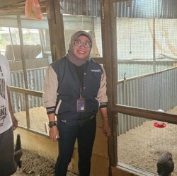 Program BRI Bikin Peternakan Ayam Ini Berkembang