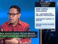 Video: Genjot Produksi Saat Harga Kakao Dunia Tembus Rekor, Caranya?