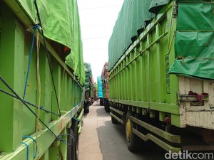 Sopir Truk Paket Kena Macet 17 Jam ke Pelabuhan Ciwandan Cilegon