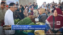 Video: Jokowi Keliling Jambi! Cek Gudang Beras, Harga Pangan & RS