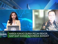 Video: Penyebab Petani RI Tak Bisa Nikmati Lonjakan Harga Kakao Dunia