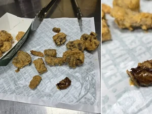 Jijik! Dikira Jamur Krispi, Pelanggan Hampir Menelan Kecoak Goreng