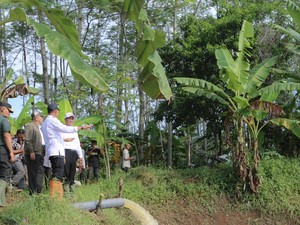 Tinjau Area Pompanisasi di Subang, Mentan Harap Produksi Padi Meningkat