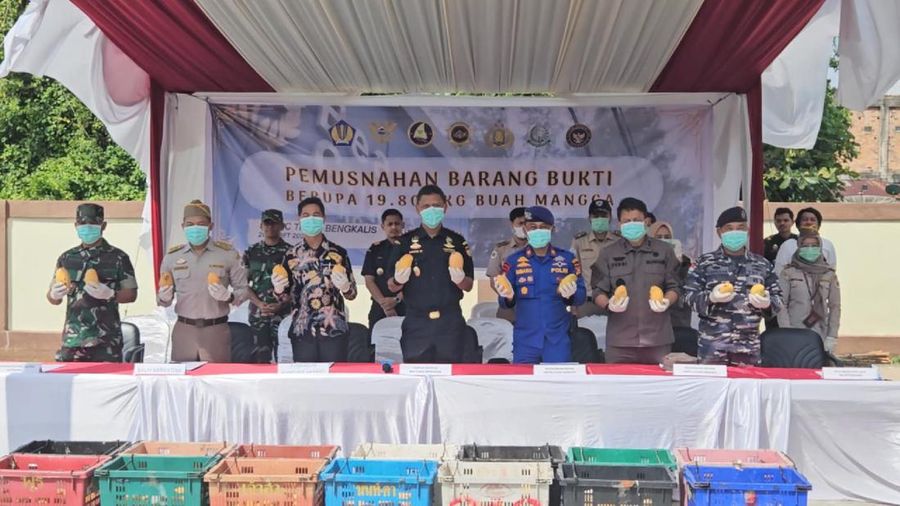 Bea Cukai Bengkalis bersama Karantina Hewan Ikan dan Tumbuhan Riau musnahkan 19.800 kg mangga ilegal hasil penindakan di perairan Desa Meranti Bunting, Kabupaten Kepulauan Meranti, Riau. Pemusnahan digelar pada Kamis (28/03)