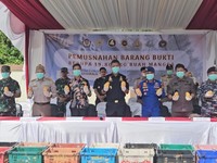 Setelah Milk Bun, Bea Cukai Musnahkan 19.800 Kg Mangga Ilegal Thailand