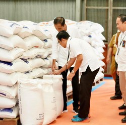 Bocoran Bos Badan Pangan, Bantuan Beras 10 Kg Lanjut Setelah Juni 2024