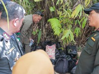Patroli Karantina Temukan Beras-Migor Selundupan di Batas RI-Malaysia