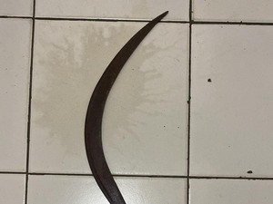 ABG di Bogor Hendak Tawuran Diamankan Polisi Usai Jatuh dari Motor