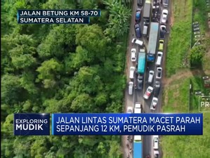 Jalan Lintas Sumatera Macet Parah Sepanjang 12 Km, Pemudik Pasrah