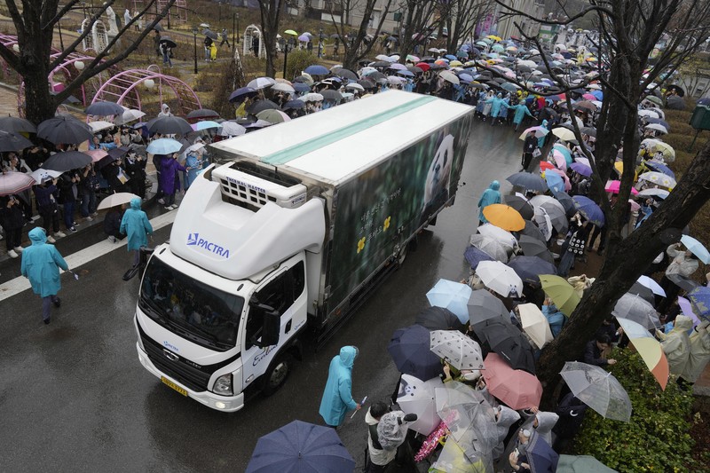 Sebuah kendaraan, kiri belakang, membawa Fu Bao, panda raksasa pertama yang lahir di Korea Selatan, tiba untuk upacara perpisahannya di taman hiburan Everland di Yongin, Korea Selatan, Rabu, 3 April 2024. Sebuah kendaraan, kiri belakang, membawa Fu Bao, panda raksasa pertama yang lahir di Korea Selatan, tiba untuk upacara perpisahannya di taman hiburan Everland di Yongin, Korea Selatan, Rabu, 3 April 2024. (AP Photo/Lee Jin-man)