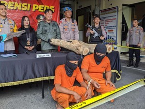 Pencurian Kayu Jati di Hutan Tulungagung Dibongkar, 2 Orang Ditangkap