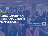 Video: WNI Hati-Hati Liburan Ke Hong Kong, Ada Virus B yang Mematikan