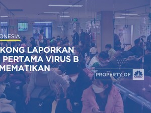Video: WNI Hati-Hati Liburan Ke Hong Kong, Ada Virus B yang Mematikan